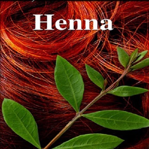 Grey Hair Remedies_Hair Henna