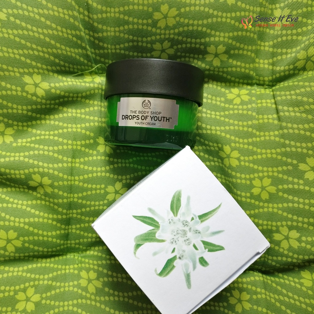 The Body Shop Drops Of YouthTM Youth Cream Sense It Eve The Body Shop Drops Of Youth Youth Cream Review